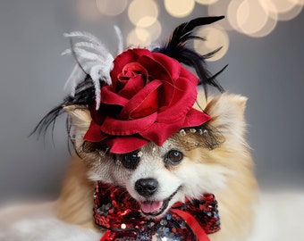 Elegant hat with   feather and   flower for dog or cat /Hat for small pet /Costume for dogs/Hat for small size dog /