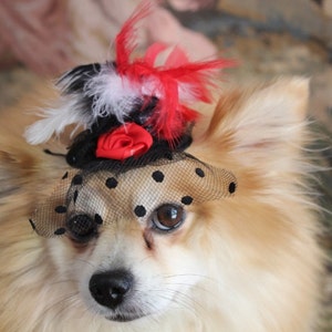 Cute black color mini hat with black red and white color feather and flowers / Small pet hat /Costume for dogs / image 3