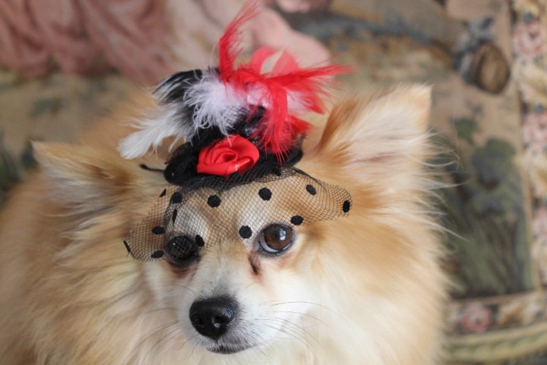 Cute black color mini hat with black red and white color feather and flowers / Small pet hat /Costume for dogs / image 3