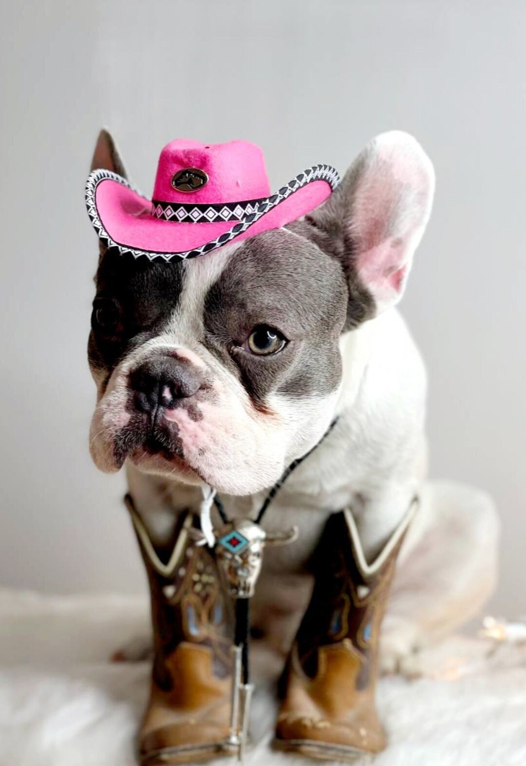 Cat Halloween Costumes AWOCAN Dog Cowboy Hat Cat Cowboy Hat Mini Cowboy Hat For Dogs Cat Pet Cowboy Costume With Bandana Scarf Holiday Halloween Pet Party Decoration (Pink, Small Cat Costumes For