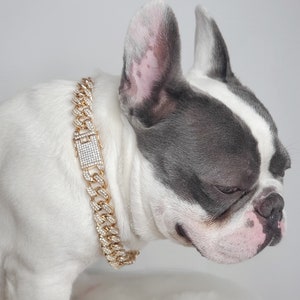 Cuban Link  /Supper cute dog neck chain gold color/ Jewelry for pet /Jewelry collar for  Frenchie/Cat neck jewelry collar /