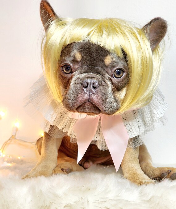 Costume Di Natale Per Cani E Gatti - 4 Pezzi Con Cappellini E Collari, Per Taglie Piccole E Medie, Ideale Per Feste