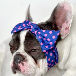 Headband  for dog or cat /headband for dogs/Pet gift/