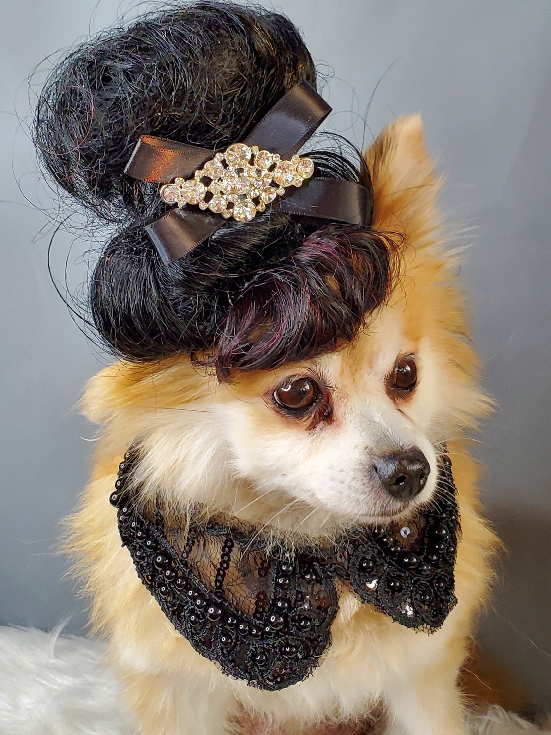 Elvis dog sale outfit