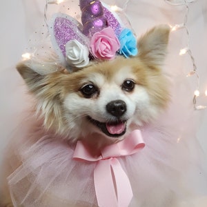 May include: A small, fluffy dog wearing a pink tulle tutu and a unicorn headband with a purple horn and pink, white, and blue flowers. The dog is smiling and looking at the camera.