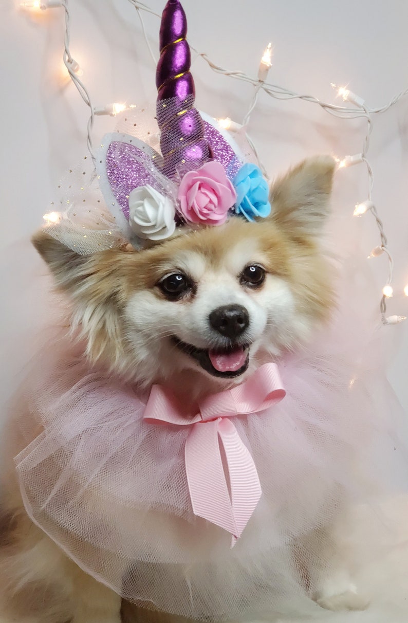 May include: A small, fluffy dog wearing a pink tulle tutu and a unicorn headband with a purple horn and pink, white, and blue flowers. The dog is smiling and looking at the camera.