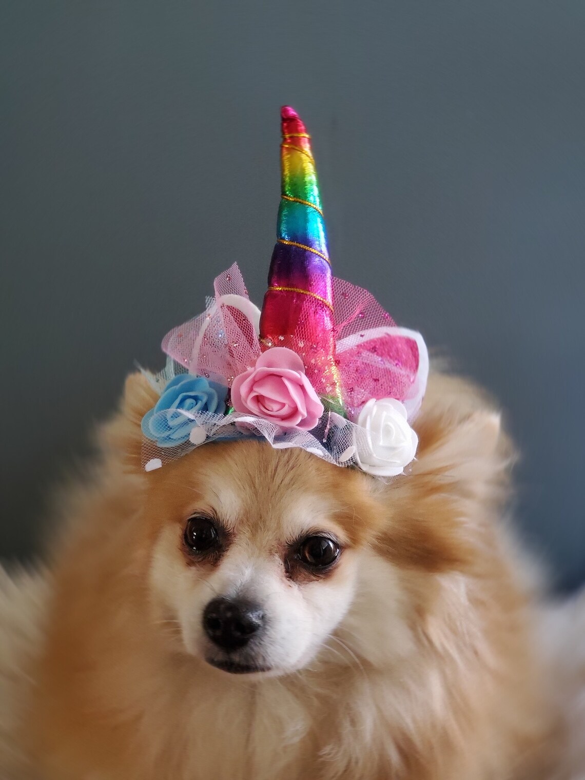 Pet unicorn hat for dog or cat/Halloween dog costume/ | Etsy