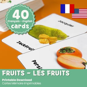 Zweisprachige Französisch-Englisch Bildkarten für Kinder – 40 Obstsorten | Französisch Früchte für Kleinkinder lernen | Apprenez les Fruits und Englisch