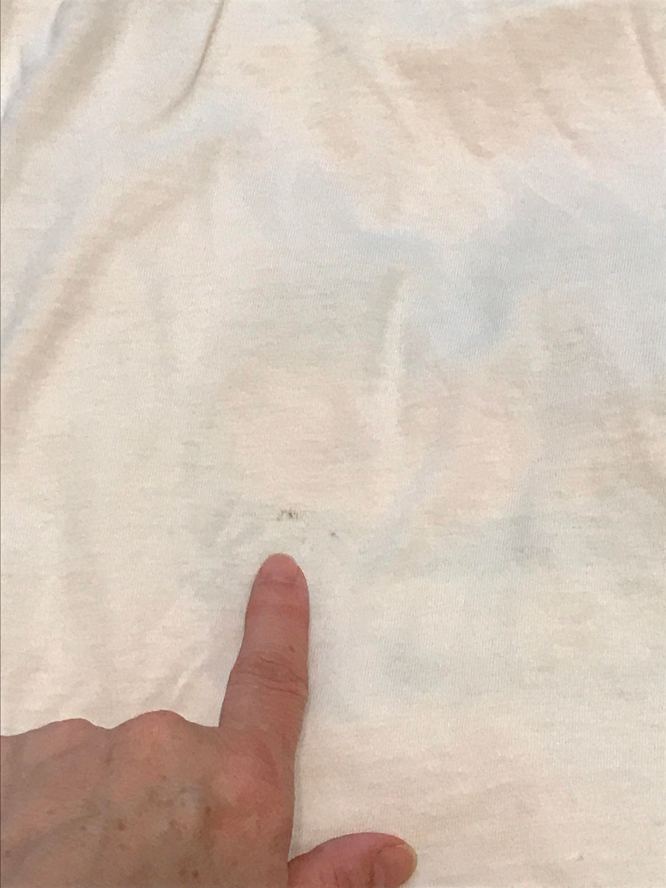 Authentic Vintage Jimmy Buffett and the Coral Reefers Tee Tequila