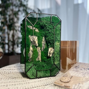Stylish glass terrarium with moss, moss glass terrarium, green moss terrarium, fairy garden, terrarium decor,gifts for home,plant lover gift