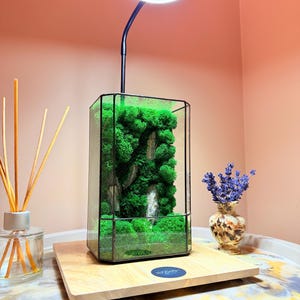 Puede incluir: Un terrario rectangular de cristal con marco de metal negro que contiene musgo preservado de color verde vibrante y detalles de piedra gris. Una lámpara de cuello de cisne negra con luz LED circular está fijada en la parte superior sobre una base.