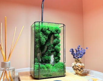 Puede incluir: Un terrario rectangular de cristal con marco de metal negro que contiene musgo preservado de color verde vibrante y detalles de piedra gris. Una lámpara de cuello de cisne negra con luz LED circular está fijada en la parte superior sobre una base.