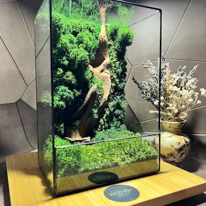 Decorative terrarium with green moss, decorative moss, natural terrarium,preserved moss art,preserved moss,anniversary gift,plant lover gift