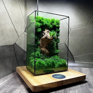 LED Moss Terrarium: Handmade Geometric Glass Zen Decor