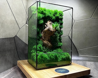 LED Moss Terrarium: Handmade Geometric Glass Zen Decor