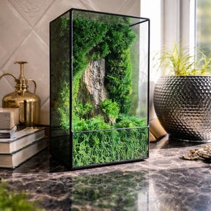 May include: A rectangular terrarium with a black metal frame, filled with lush green moss and a small rock formation. The glass enclosure showcases a miniature ecosystem, creating a naturalistic display. A gold-colored watering can and books are in the background.