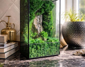 Moss Terrarium Lamp | LED Geometric Glass Light | Eco-Friendly Zen Desk Decor Gift