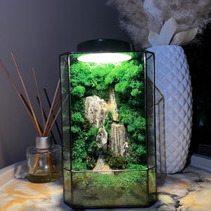 Könnte beinhalten: Ein hexagonales Glasterrarium mit einer leuchtend grünen Mooslandschaft und vertikalen Felsformationen. Das Gehäuse ist mit einem schwarzen, runden Deckel versehen, der eine integrierte Leuchte enthält, die das Moos und die Steine beleuchtet.