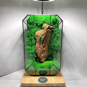 Glass terrarium with wood and preserved moss, close terrarium, office decor, living room decor, gift for director, gift for grandpa