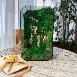 Open glass moss terrarium, japanes home decor, glass stone terrarium, natural terrarium, gifts for home, gift for him
