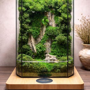 Geometrisches Glass Moos Terrarium: Handgemachte Moderne Schreibtisch Dekor