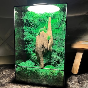 Premium handmade moss terrarium, terrarium led light, home decor, japanese style decor, geometric terrarium, gift ideas, gift for her