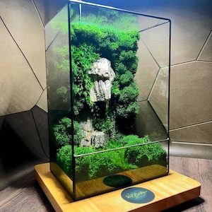 Modern style terrarium with moss, terrarium decor, geometric terrarium, green moss, stone terrarium, natural terrarium, anniversary gift