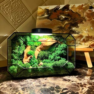 Puede incluir: Un terrario rectangular de cristal con marco de metal negro que contiene musgo preservado de color verde brillante y un trozo de madera flotante de color marrón claro. Una lámpara negra circular está montada en la parte superior del marco.