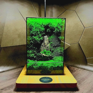 Lámpara de terrario de musgo / Luz geométrica de cristal LED / Regalo ecológico de decoración de escritorio estilo zen