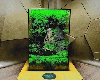 Moss Terrarium Lamp | LED Geometric Glass Light | Eco-Friendly Zen Desk Decor Gift