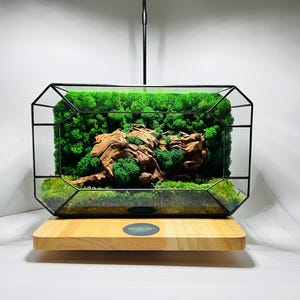 Geometric Moss Terrarium: Handmade Glass & Wood Zen Decor