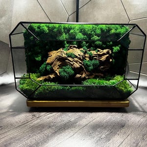 Glass Moss Terrarium with Light - Geometric Office Decor | Preserved Moss Gift | Handmade Green Moss Box