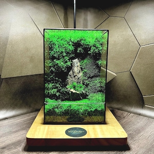 LED Moss Terrarium: Geometric Glass Nature Lamp, Handmade