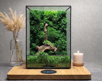 LED Moss Terrarium: Handmade Glass Zen Garden with Natural Wood