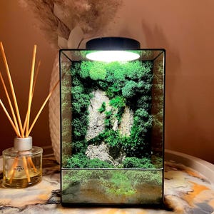 Geometric Glass Terrarium: Preserved Moss & Stone, Japanese Decor