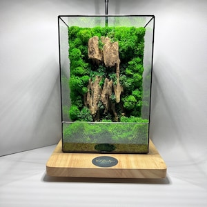 Handmade Moss Terrarium | Natural office decor | Living Freen Terrarium | Preserved moss with geometric terrarium