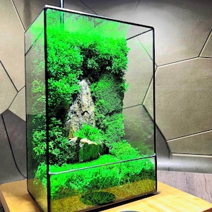 Terrario de musgo preservado con LED: decoración de vidrio hecha a mano para el hogar