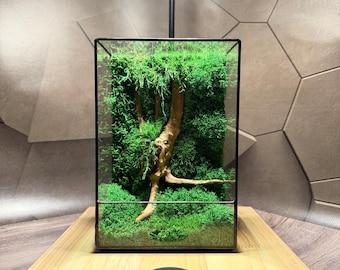 Japanese LED Terrarium: Geometric Glass & Preserved Moss