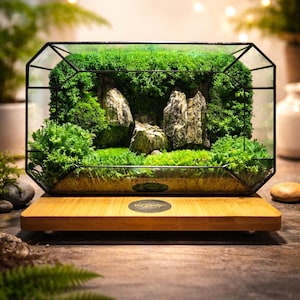 Geometric Glass Terrarium with Preserved Moss & Stone