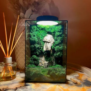 Moss Terrarium Zen Garden | Preserved Moss Decor | Handmade Eco Gift | Mossarium Desktop