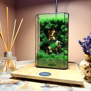 Puede incluir: Un terrario rectangular de cristal con marco de metal negro que contiene musgo preservado de color verde vibrante y formaciones rocosas de color tostado. Se asienta sobre una base de madera clara con una pegatina circular con el texto Wild Boutique.