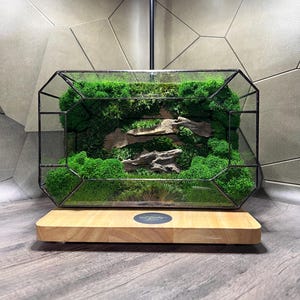 Terrario geométrico de musgo: Decoración ecológica para el hogar hecha a mano (9,5 x 6 x 4 pulgadas)