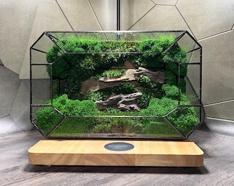 Terrario geométrico de musgo: Decoración ecológica para el hogar hecha a mano (9,5 x 6 x 4 pulgadas)