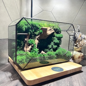 Geometric Terrarium | Moss Terrarium for home decor| Eco-Friendly Office Decor | Handmade Terrarium Gifts