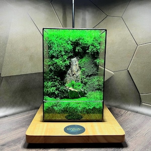 LED Moss Terrarium with Stone | Handmade Glass Terrarium Gift | Zen Garden Mossarium Decor for Home or Office