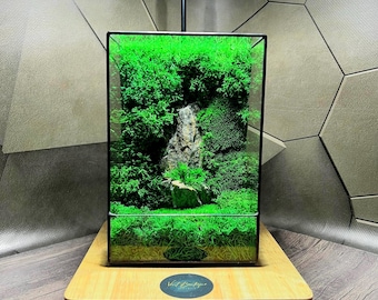 Preserved Moss Terrarium with Stone & LED Light: Zen Home Decor