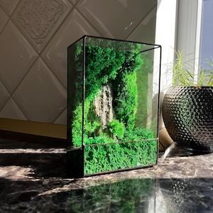 May include: A rectangular glass terrarium with a black metal frame, filled with vibrant green moss and a small rock formation. The terrarium sits on a dark, reflective surface, with a decorative pot in the background.