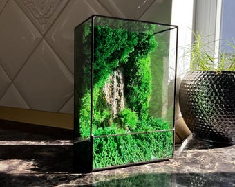 Moss Terrarium Lamp | LED Geometric Glass Light | Eco-Friendly Zen Desk Decor Gift