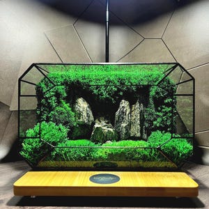 Geometric Moss Terrarium Gift – Handmade Glass Decor – Natural Preserved Moss for Home or Office