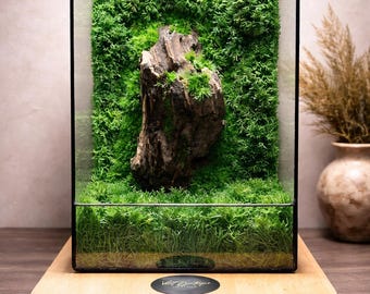 Wood & Moss Terrarium with LED Light: Handmade Home Decor